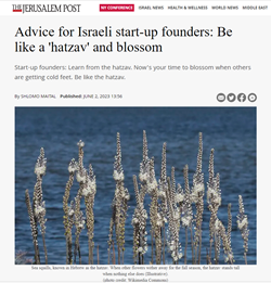 Advice for Israeli start-up founders: Be like a 